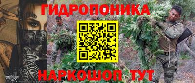 mdpv Бийск