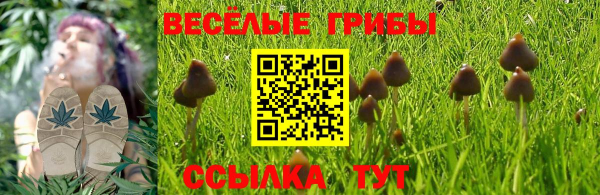 Псилоцибиновые грибы GOLDEN TEACHER Артём