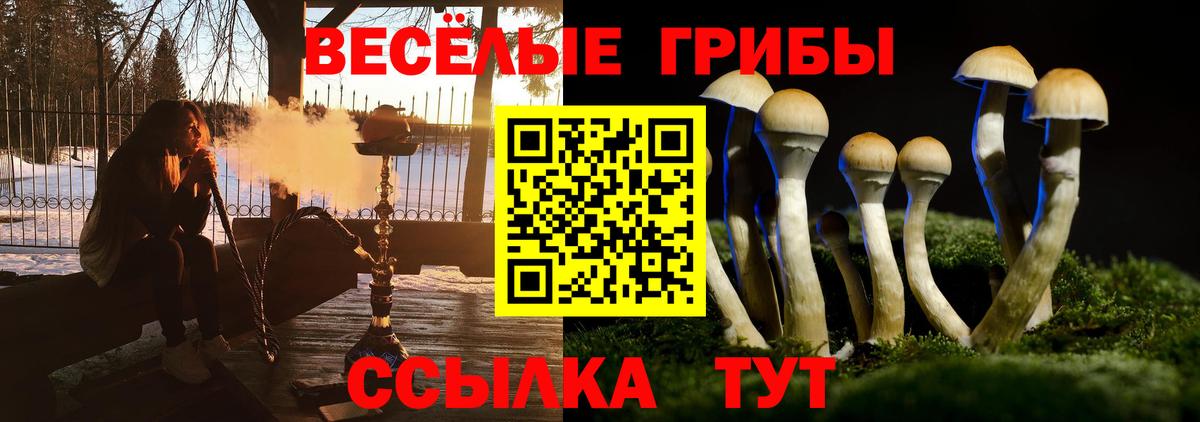 Галлюциногенные грибы GOLDEN TEACHER  Вход с VPN  Артём 